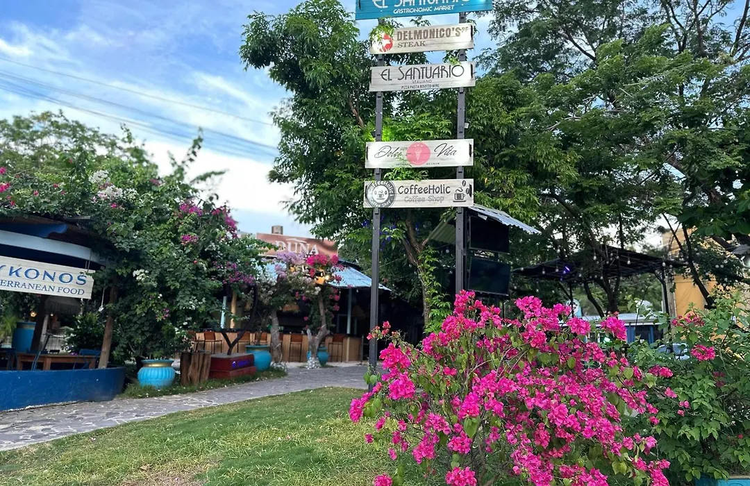 Pacific Park 205-1